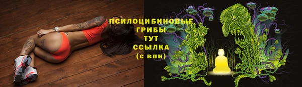 spice Новодвинск