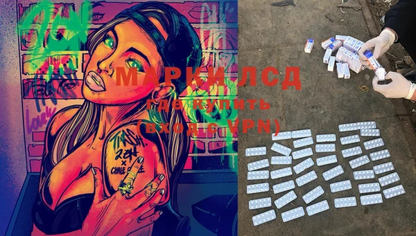 spice Новодвинск