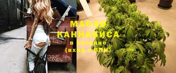 гидра Новозыбков