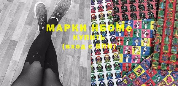 гидра Новозыбков