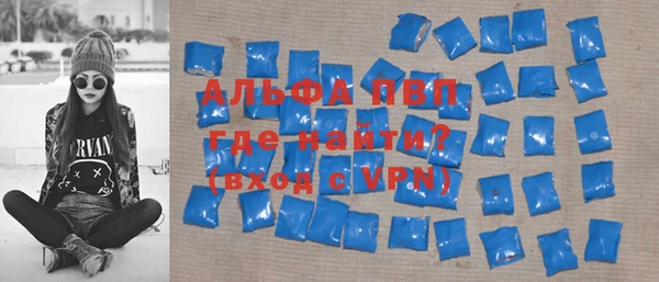 spice Новодвинск