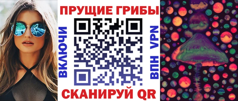 Купить где  Нижний Тагил  Галлюциногенные грибы прущие грибы 
